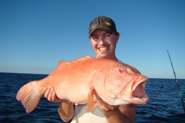 spooled solid trout